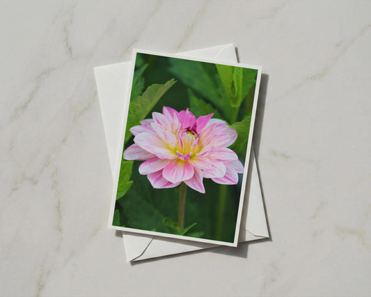 Pink Dahlia Flower Card, Botanical Garden Card, Floral Greeting Card, A6 Card