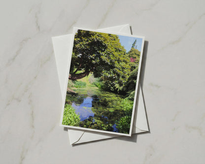 Botanical Garden Pond Card, Lush Green Trees Nature Card, Tranquil Garden Scene
