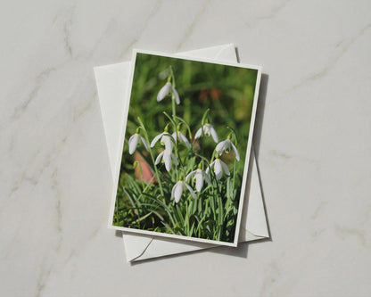 Snowdrop Flower Card, White Spring Floral A6 Greeting Card with Envelope, Botanical