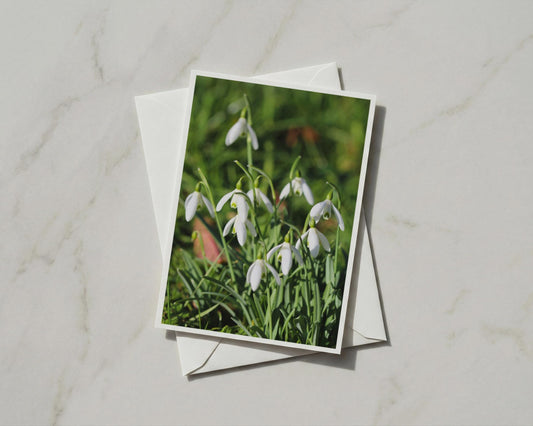Snowdrop Flower Card, White Spring Floral A6 Greeting Card with Envelope, Botanical