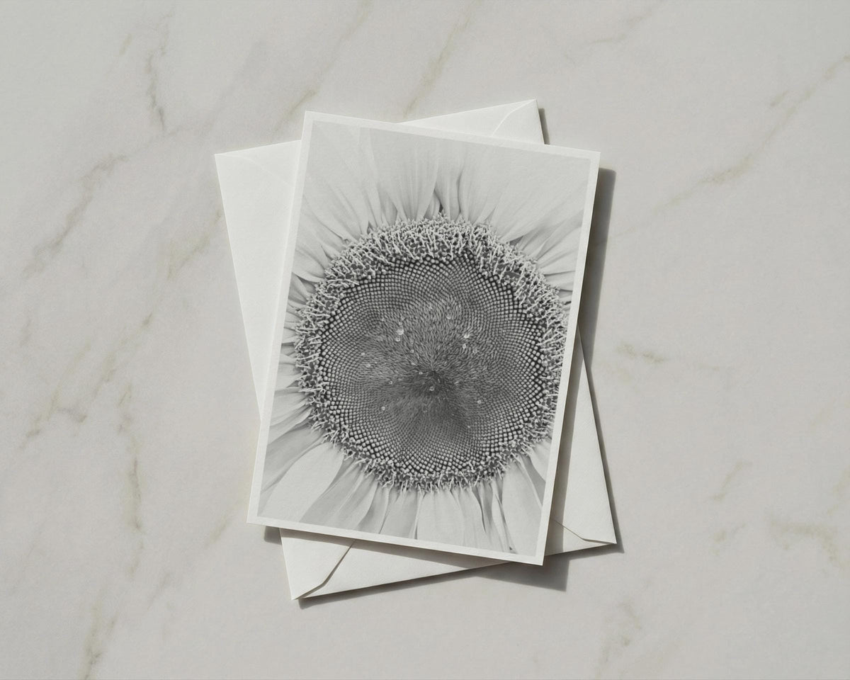 Black  White Sunflower Card, Monochrome Botanical Macro Flower, Minimalist Floral Greeting Card