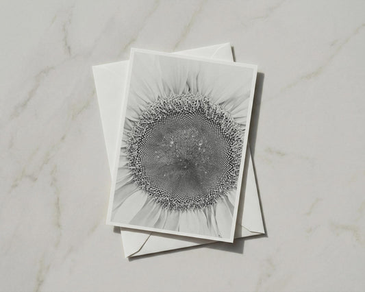 Black  White Sunflower Card, Monochrome Botanical Macro Flower, Minimalist Floral Greeting Card