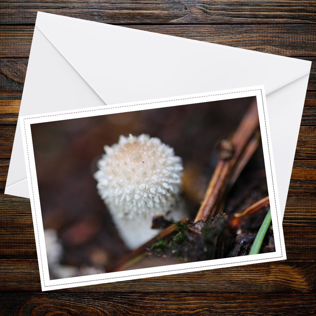 Common puffball greeting card, botanical fungi art, mushroom lover gift, woodland theme stationery, naturalist eco-friendly card