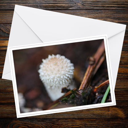 Common puffball greeting card, botanical fungi art, mushroom lover gift, woodland theme stationery, naturalist eco-friendly card