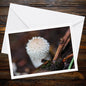 Common puffball greeting card, botanical fungi art, mushroom lover gift, woodland theme stationery, naturalist eco-friendly card