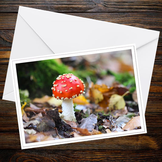 Fly agaric Fungi Greeting Card, Woodland Mushrooms Nature Art, Fairy Tale Toadstool Botanical Illustration, Eco Friendly Gift