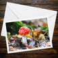 Fly agaric Fungi Greeting Card, Woodland Mushrooms Nature Art, Fairy Tale Toadstool Botanical Illustration, Eco Friendly Gift