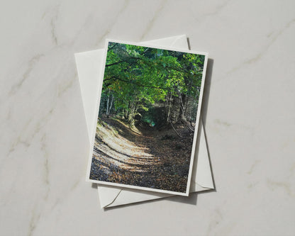Woodland Path Card, Forest Trail Greeting Card, Autumn Trees Nature Card, A6