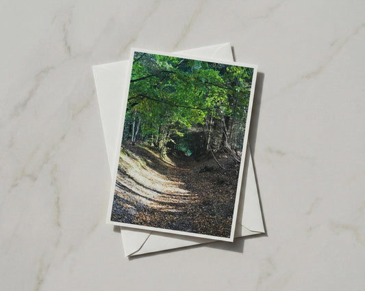 Woodland Path Card, Forest Trail Greeting Card, Autumn Trees Nature Card, A6