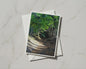 Woodland Path Card, Forest Trail Greeting Card, Autumn Trees Nature Card, A6