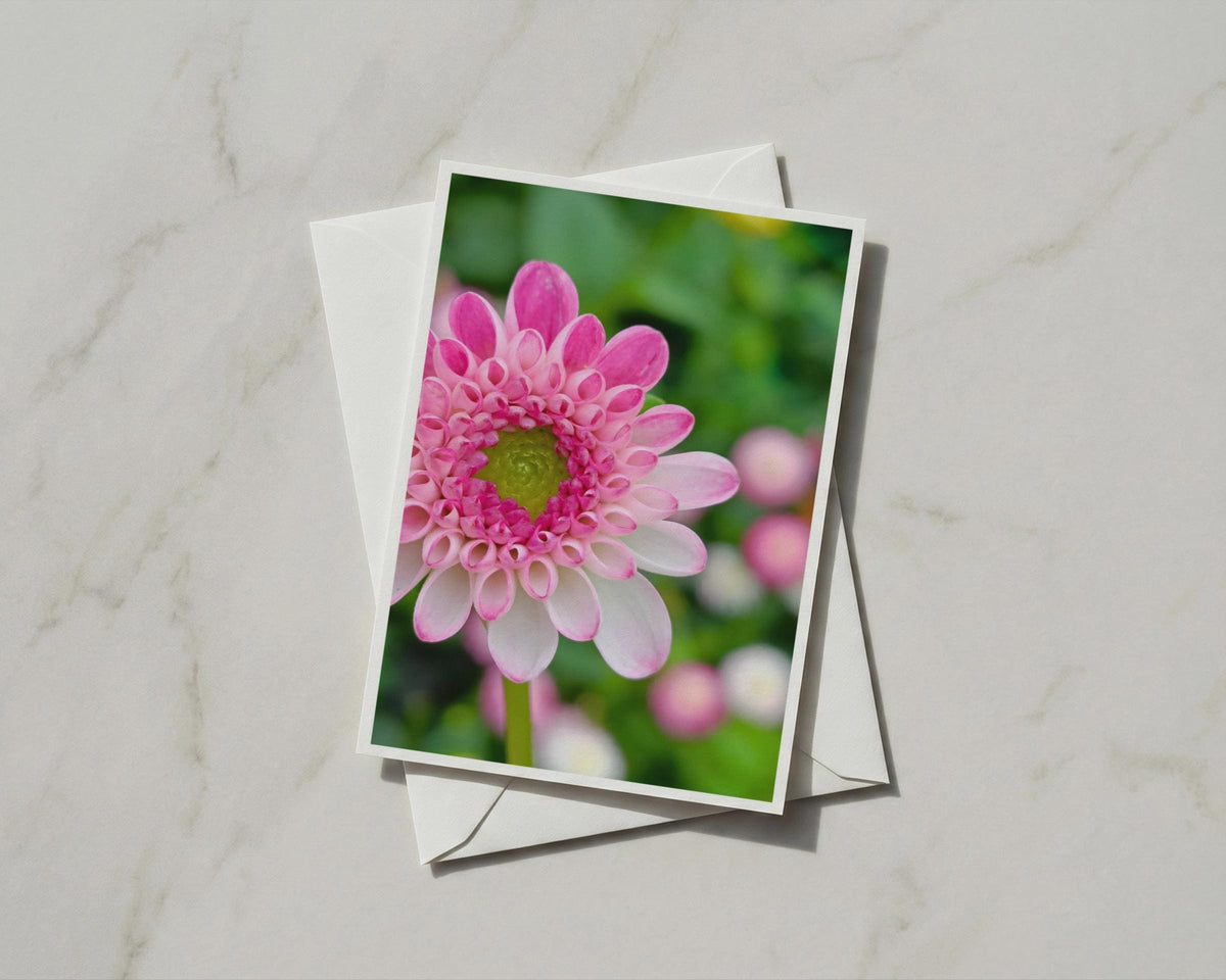 Pink Dahlia Flower Card, Botanical Photography, Floral Greeting Card, Garden