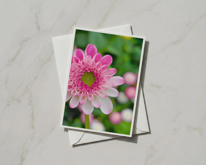 Pink Dahlia Flower Card, Botanical Photography, Floral Greeting Card, Garden