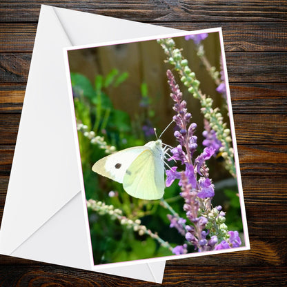 Cabbage White Butterfly A6 Card – Cottage Garden Nature Photo (Blank Inside)