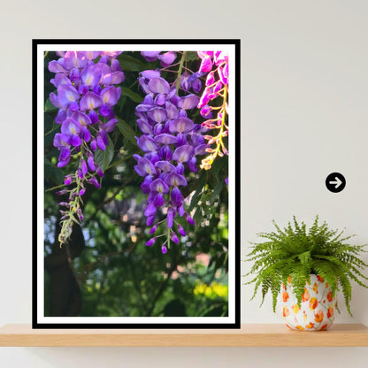Wisteria Close-up Petal Detail Print, Botanical Art, Intricate Floral Wall Decor, Archival Paper, Nature Lover Gift, Purple Flower Photo