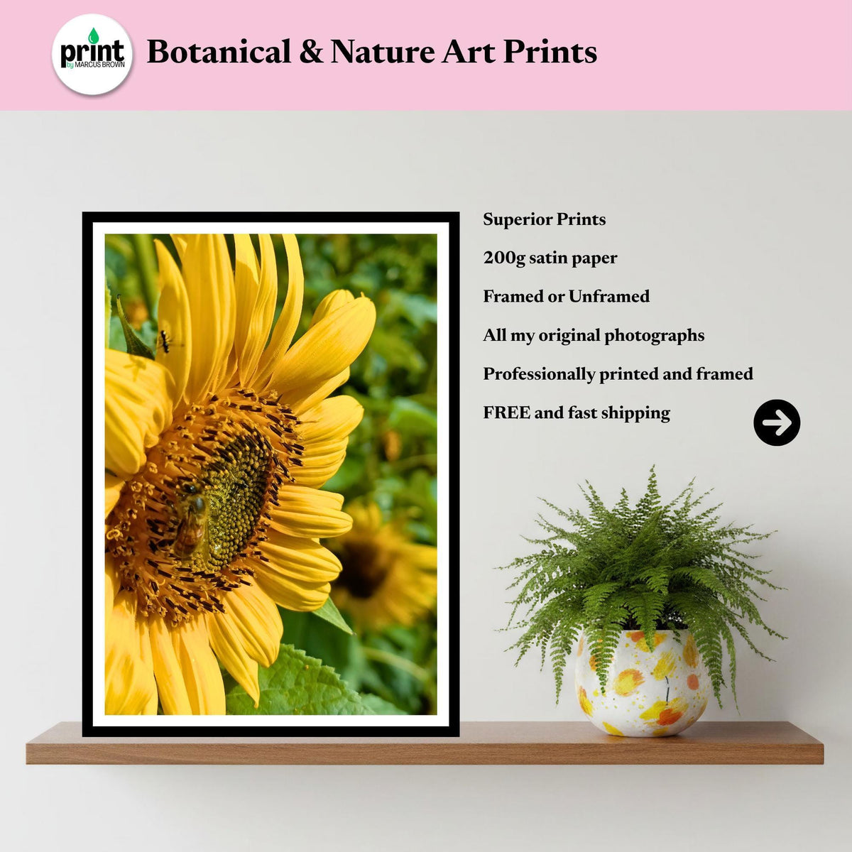 Sunflower Macro Print | Yellow Botanical Fine Art Nature Photography
