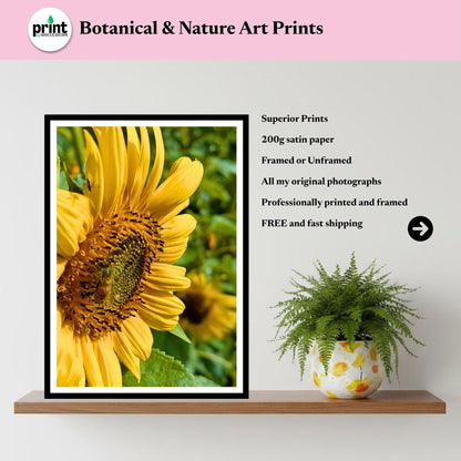 Sunflower Macro Print | Yellow Botanical Fine Art Nature Photography