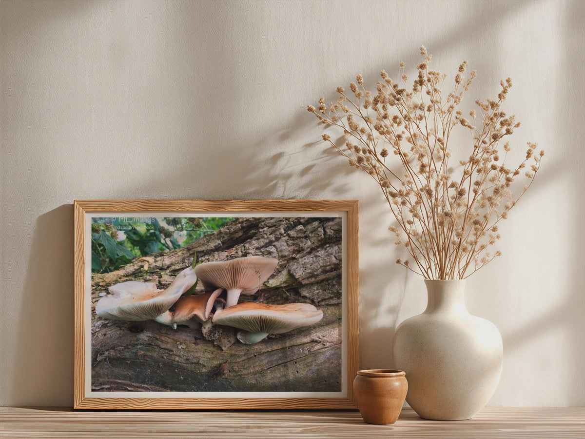 Wild Fungi on Fallen Log Poster mockup - Neutral_Mockup_Studio_509