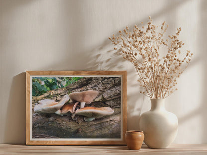 Wild Fungi on Fallen Log Poster mockup - Neutral_Mockup_Studio_509