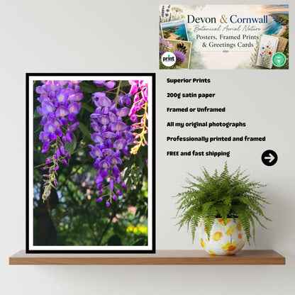 Wisteria Close-up Petal Detail Print, Botanical Art, Intricate Floral Wall Decor, Archival Paper, Nature Lover Gift, Purple Flower Photo