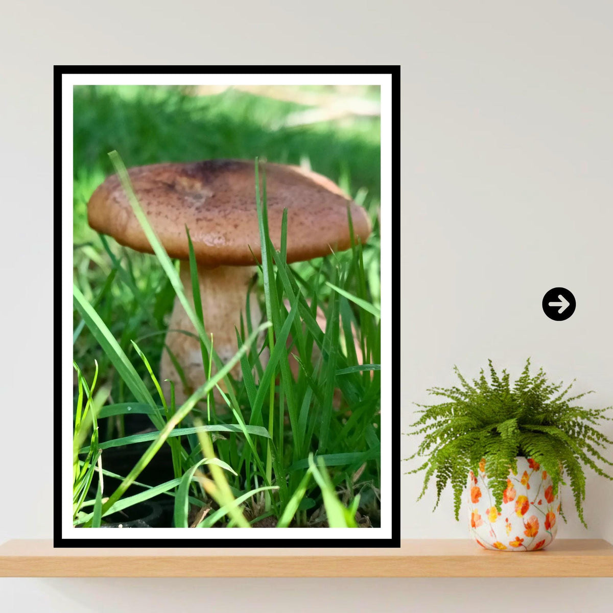 King Bolete Fungi Print Art, Mushroom Nature Photography, Woodland Decor, Botanical and Fungi Collection, FSC Certified Archival Poster