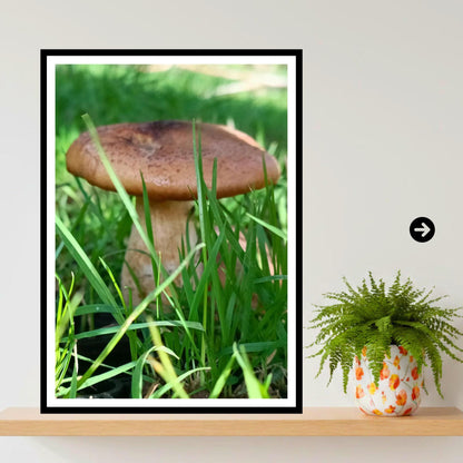 King Bolete Fungi Print Art, Mushroom Nature Photography, Woodland Decor, Botanical and Fungi Collection, FSC Certified Archival Poster