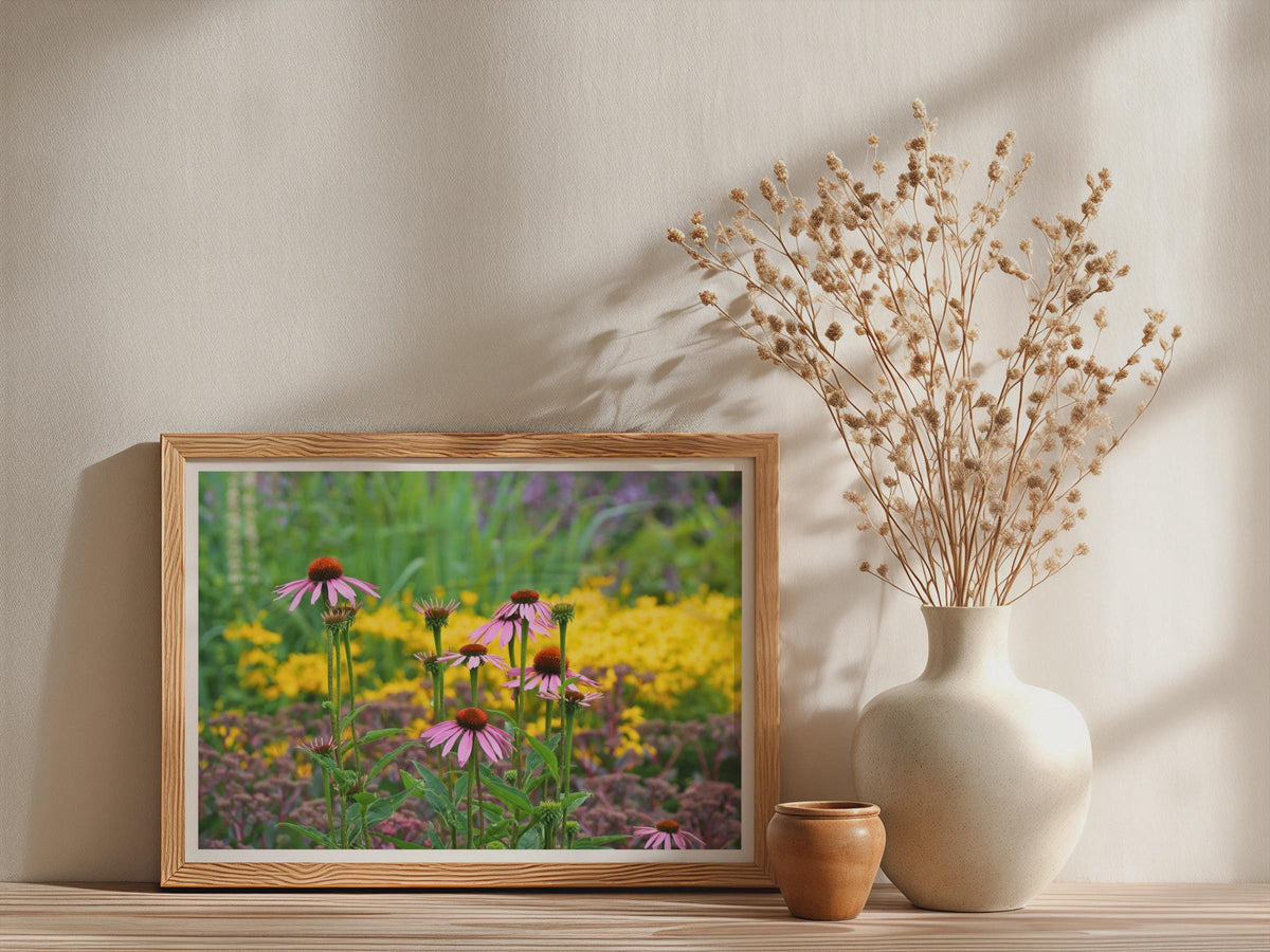 Echinacea Garden Poster, Purple Coneflower Framed-Print, Botanical Flower Wall Art, Colourful Summer Garden Print, Nature Photography