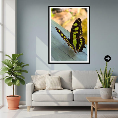 Malachite Butterfly Print, Tropical Wildlife Photography, Botanical Nature Decor