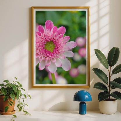 Pink Dahlia Close Up Flower Photography Print, Macro Floral Wall Art, Garden Bloom Poster, Pink and White Botanical Photo Print for Home