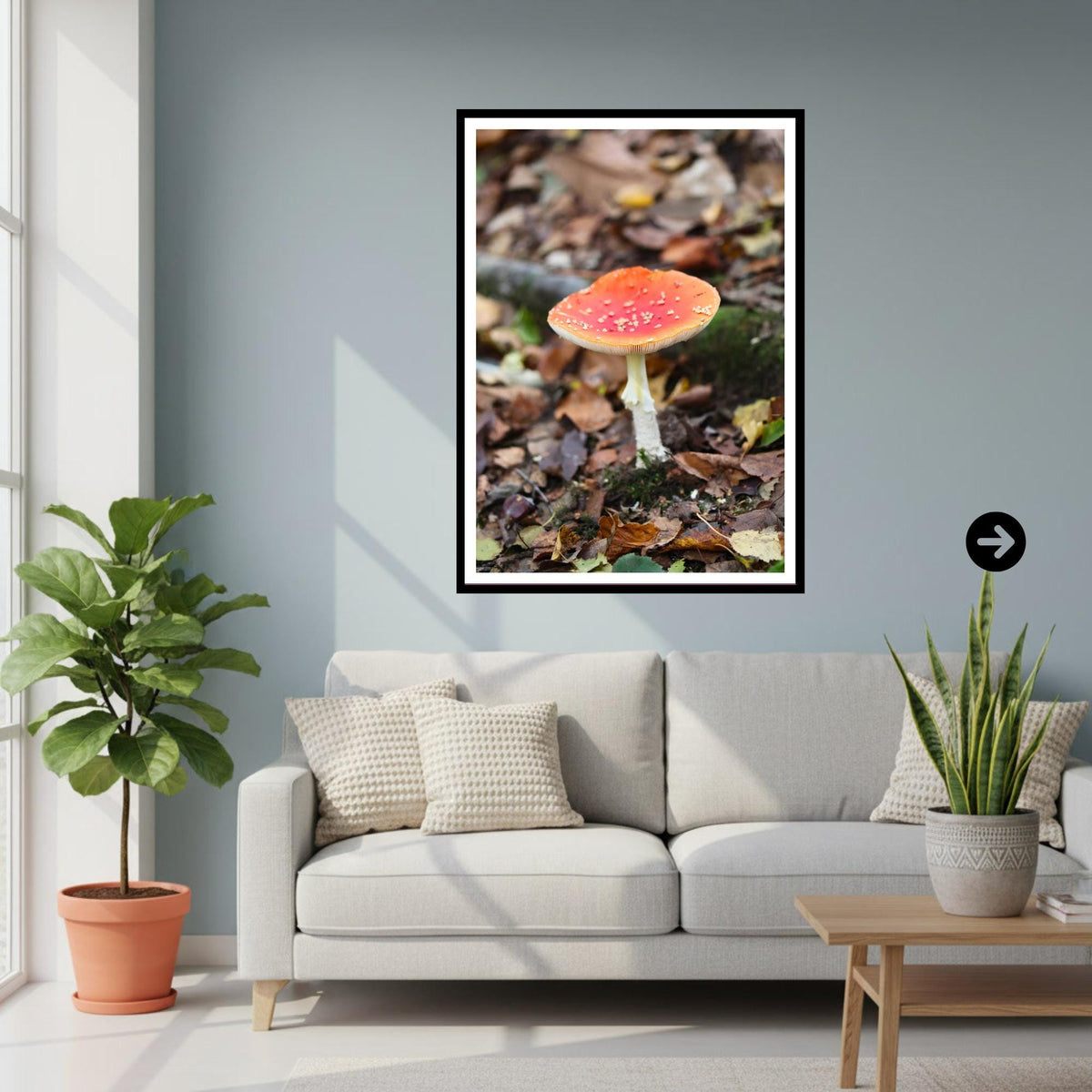 Fly Agaric Fungi Print Art, Mushroom Nature Photography, Woodland Decor, Archival Botanical Poster, Fairy Tale Inspired Fungi Wall Art