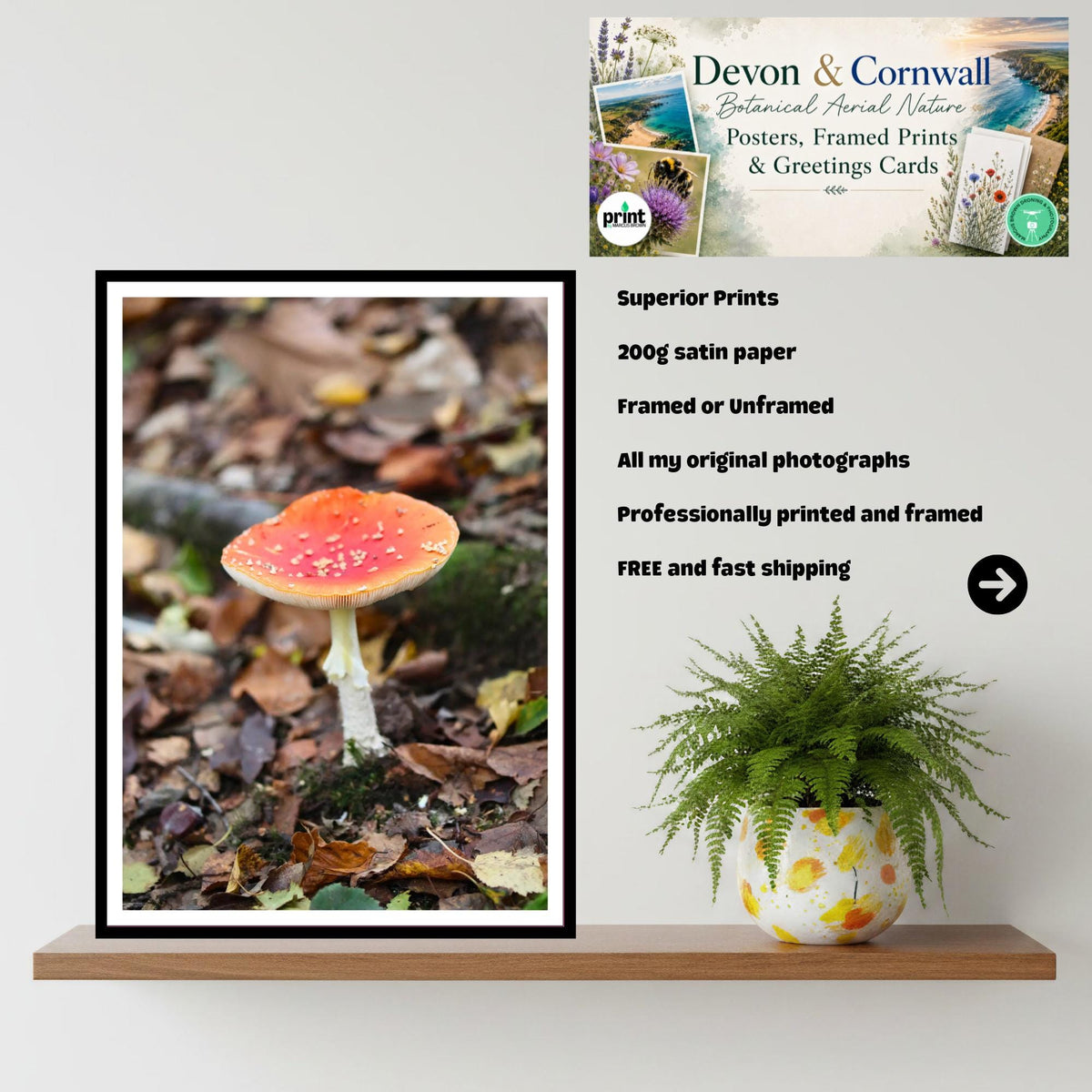Fly Agaric Fungi Print Art, Mushroom Nature Photography, Woodland Decor, Archival Botanical Poster, Fairy Tale Inspired Fungi Wall Art