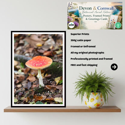 Fly Agaric Fungi Print Art, Mushroom Nature Photography, Woodland Decor, Archival Botanical Poster, Fairy Tale Inspired Fungi Wall Art