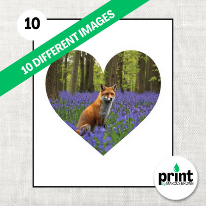A fox sitting in a field of purple flowers, with a heart-shaped cutout in the center of the image.