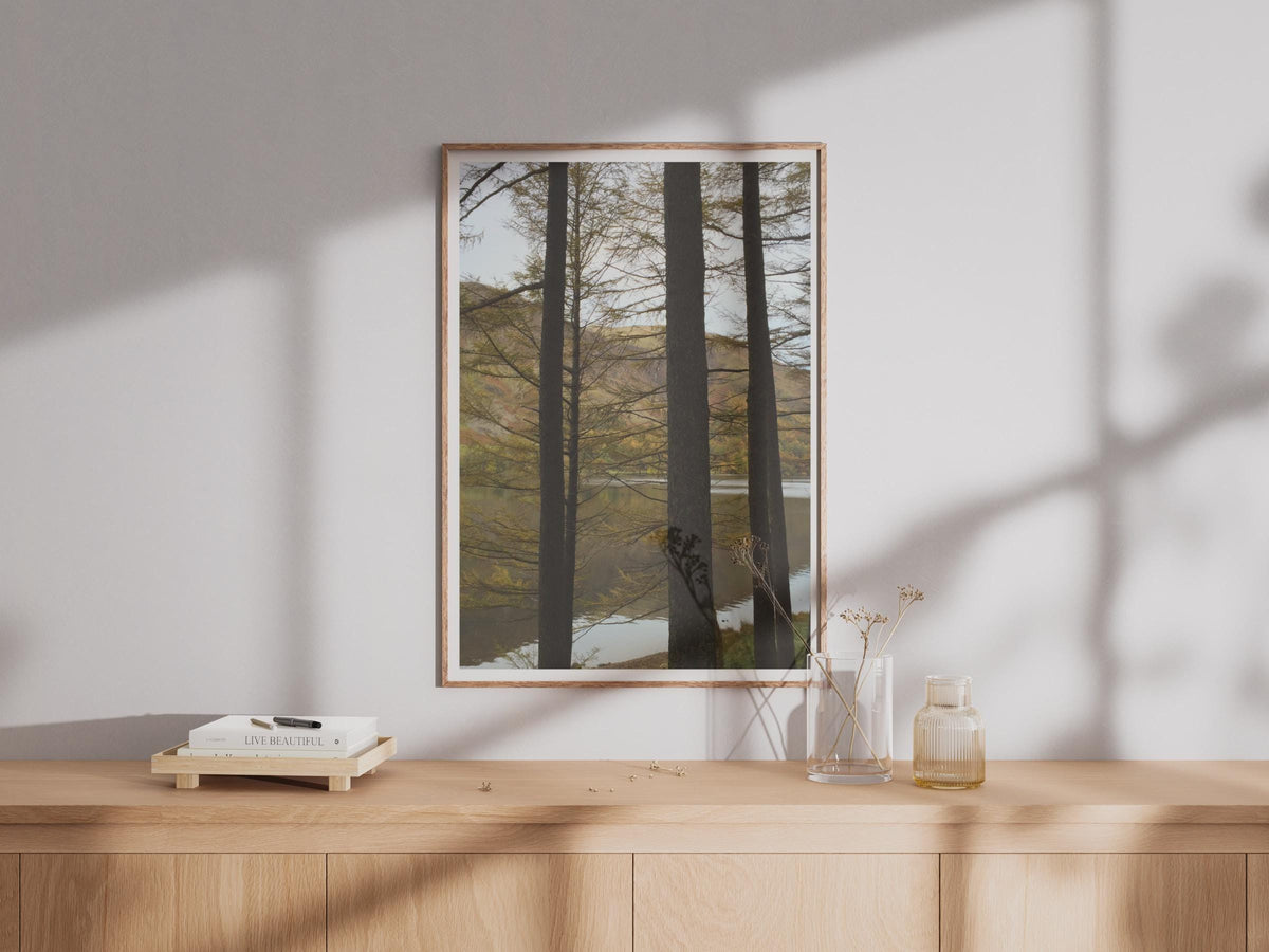 Autumn Forest Lake Poster - image 4
