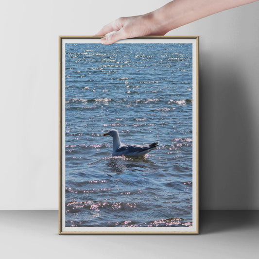 Seagull on Sparkling Sea Poster, Coastal Bird Wall Art, Blue Ocean Photography Print, Nautical Wildlife Decor, Seaside Nature Photo