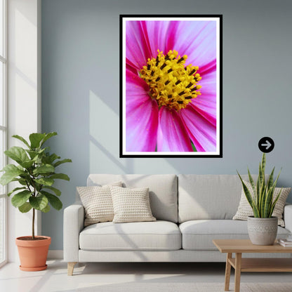 Pink Cosmos Flower Print, Vibrant Macro Botanical Photography, Cottagecore Nature Wall Art