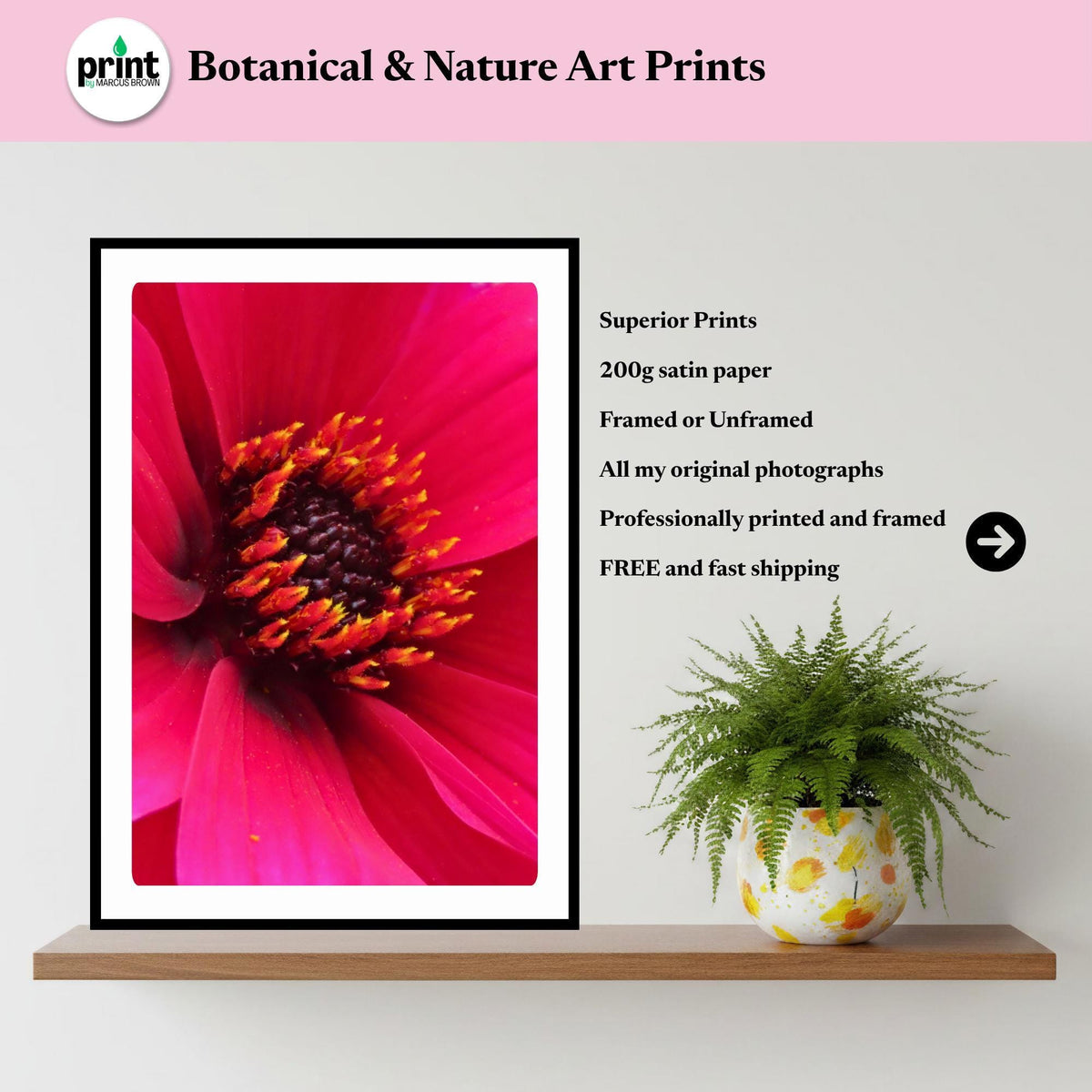 Deep Pink Dahlia Macro Print, Vibrant Floral Wall Art, Botanical Nature Decor