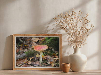 Fly Agaric Mushroom Poster mockup - Neutral_Mockup_Studio_509