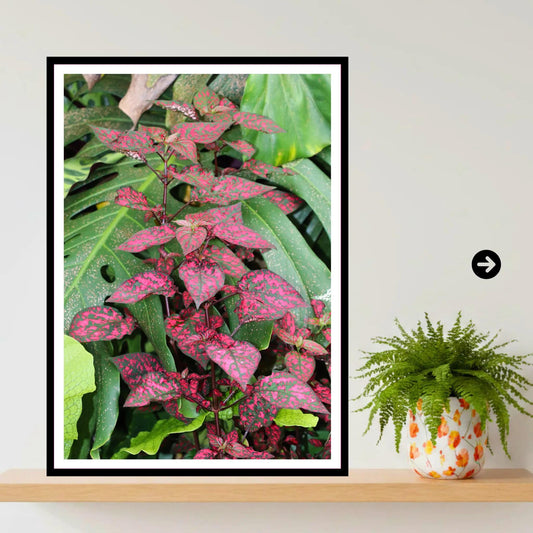 Pink speckled foliage at Eden Project Cornwall Wall Art Photography Print