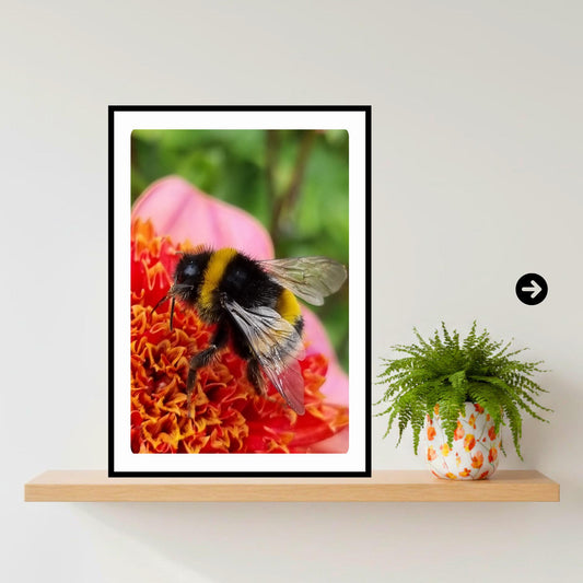 Macro Bumblebee Flower Art Print | Vibrant Botanical Nature Decor