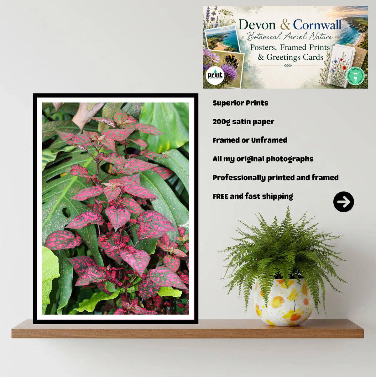 Pink speckled foliage at Eden Project Cornwall Wall Art Photography Print