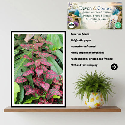 Pink speckled foliage at Eden Project Cornwall Wall Art Photography Print