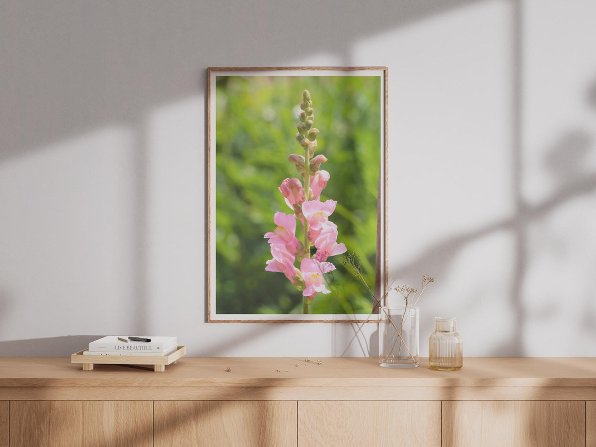 Pink Snapdragon Flower Poster, Antirrhinum Wall Art Print, Botanical Photography, Garden Floral Decor, Summer Bloom Print for Home