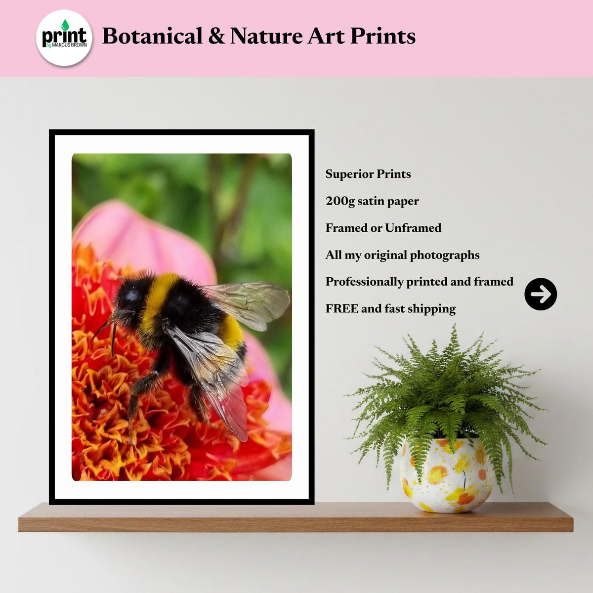 Macro Bumblebee Flower Art Print | Vibrant Botanical Nature Decor