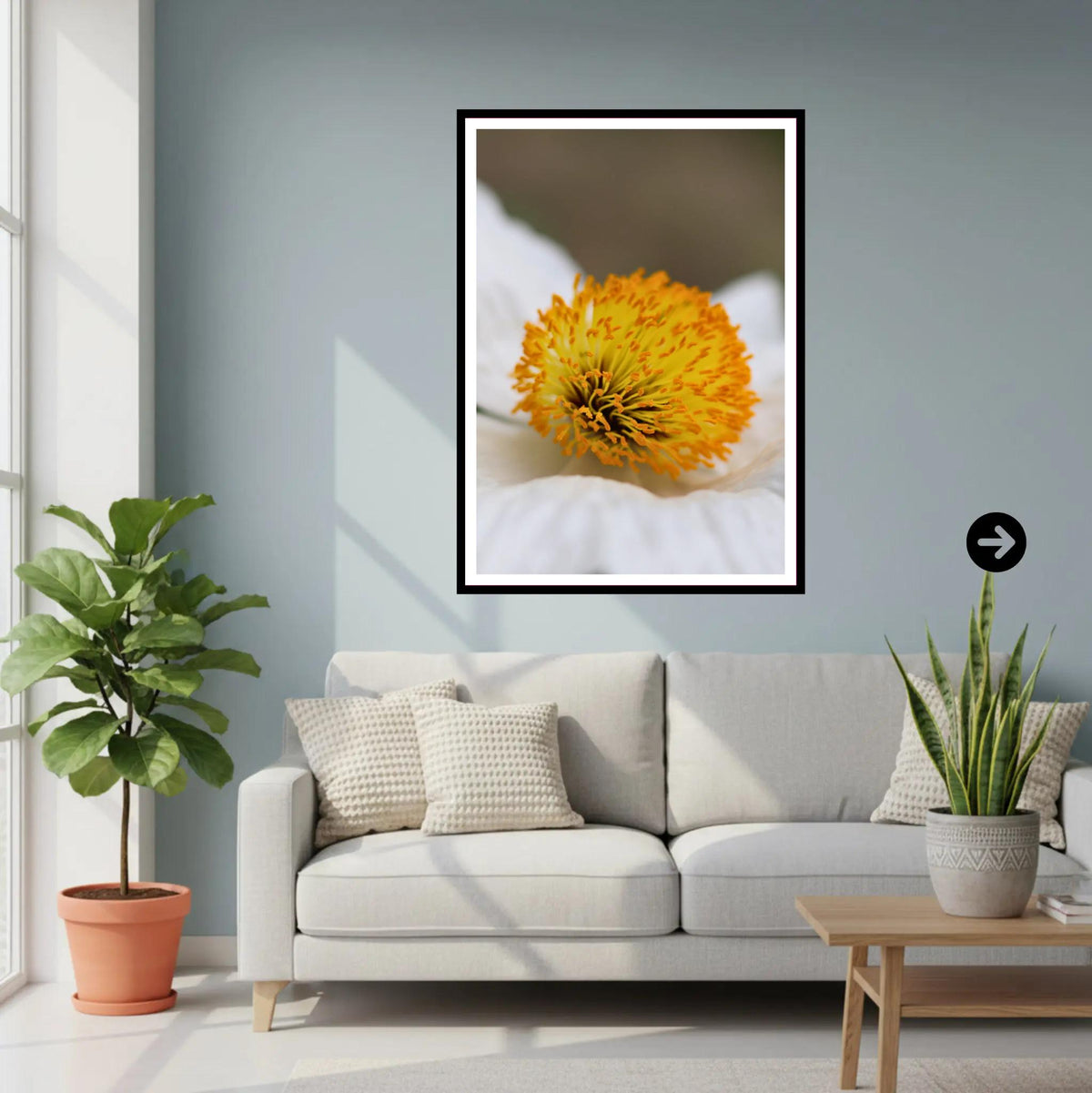 Macro yellow flower close-up | Eden Project Cornwall Wall Art Photography Print