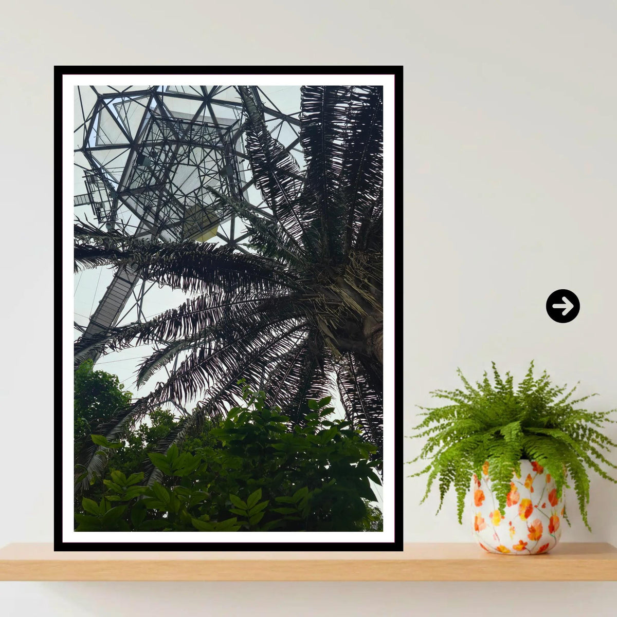 Palm canopy & biome interior — Eden Project Cornwall Wall Art Photography Print