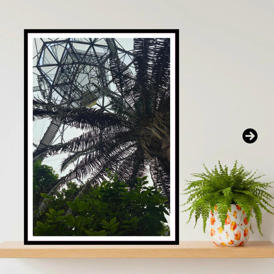 Palm canopy & biome interior — Eden Project Cornwall Wall Art Photography Print