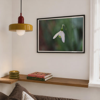 Snowdrop Flower Poster, White Spring Botanical Framed-Print, Macro Nature Photography, Green Garden Wall Art, Minimalist Floral Home Decor
