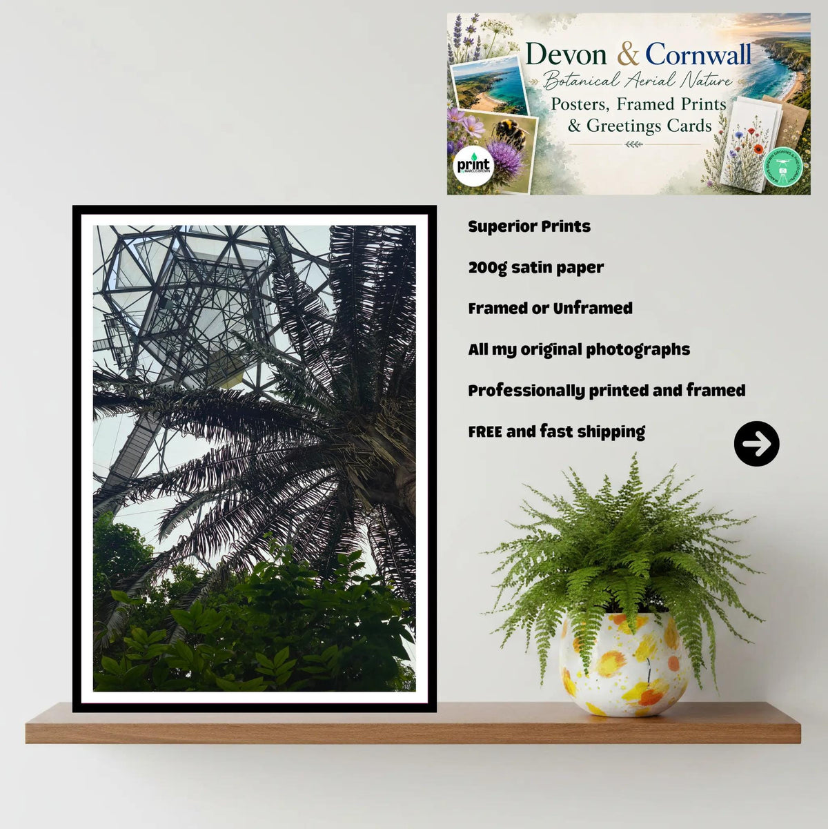 Palm canopy & biome interior — Eden Project Cornwall Wall Art Photography Print