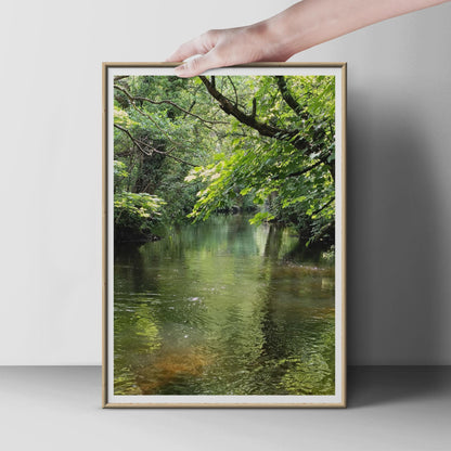 Woodland River Poster, Green Forest Stream Wall Art, Nature Photography Print, Lush Trees Reflected Water, Calm Countryside Landscape Print