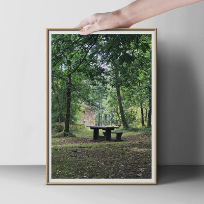 Forest Picnic Table Poster, Woodland Nature Print, Green Trees Wall Art, Tranquil Outdoor Scene, Rustic Country Living Room Decor